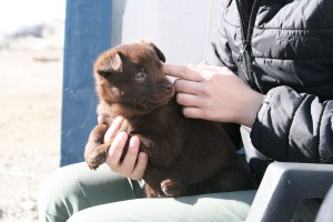 2015-04-07-lila2