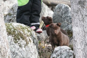 2015-04-08-kira