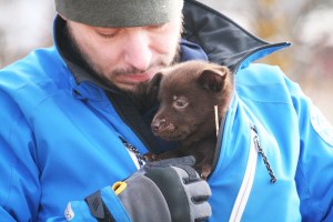 2015-04-08-kira2