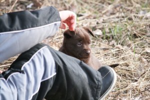 2015-04-08-lila