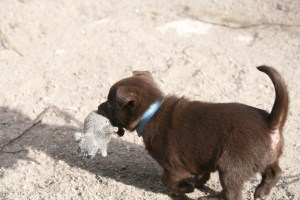 2015-04-09-bla
