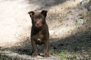 2015-04-20-asta