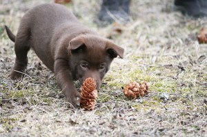 2015-04-22-asta-blogg