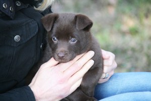 20150411-asta