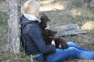 20150411-asta3