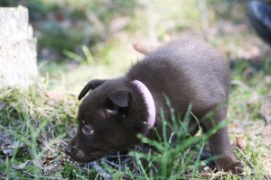 20150411-kira2