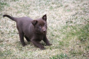20150412-kira