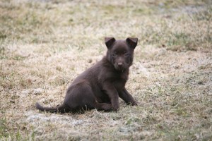 20150412-stella