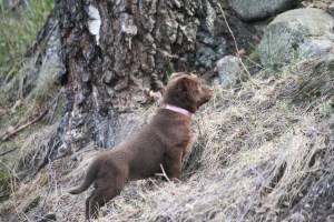 20150413-kira