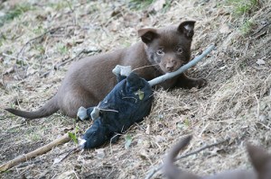 20150417-asta