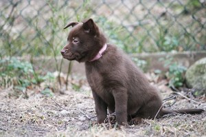 20150417-kira