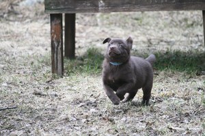 20150417-stella