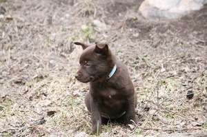 20150417stella2