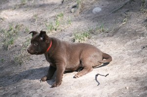 20150421-asta2