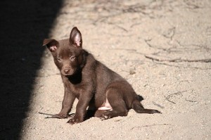 20150421-kira2blogg