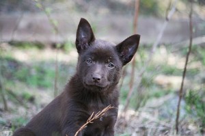 20150421-stella