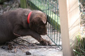 20150424-asta-blogg4
