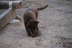 20150424-kira-blogg2
