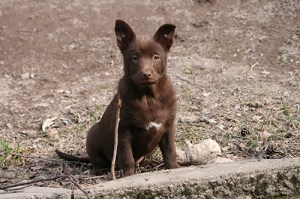 20150430-asta-blogg