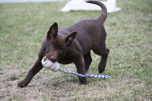 20150503-asta-blogg6