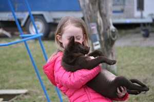 20150503-asta-blogg7