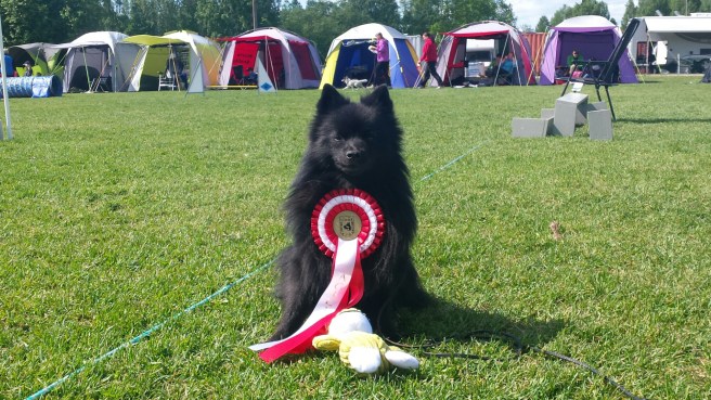 20150613_115730.jpg image