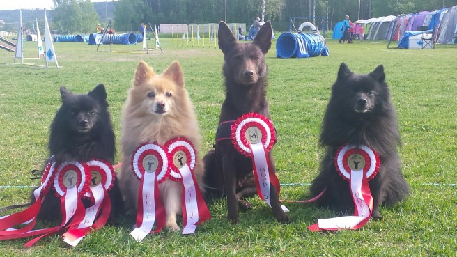 20150613_164402.jpg image