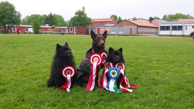 20150614_164152.jpg image