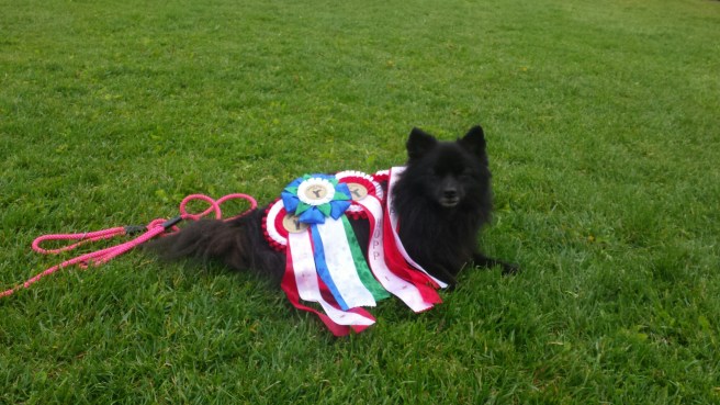 20150614_164304.jpg image