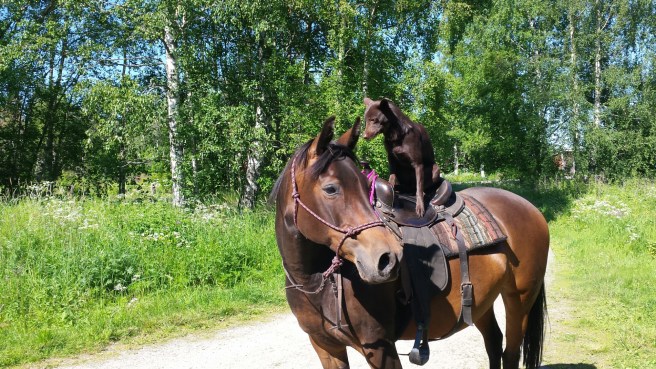 20150621_155139.jpg image