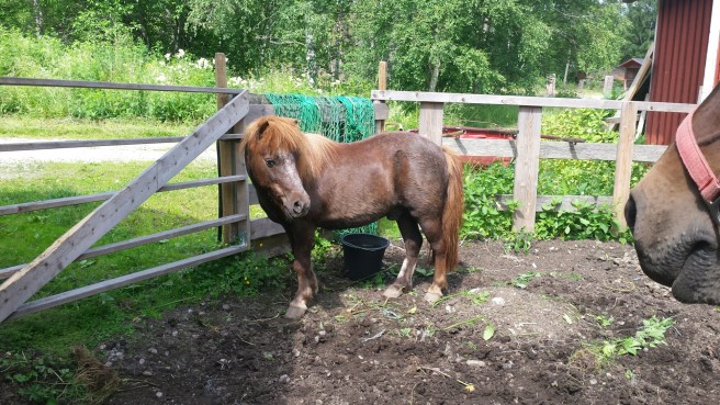 20150715_132457.jpg image