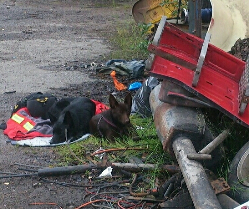 20150727_175353.jpg image