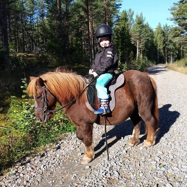 FB_IMG_1436984308624.jpg image