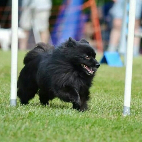 IMG_20141128_072804.jpg image