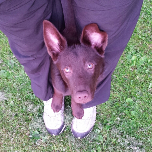 IMG_20150715_215611.jpg image