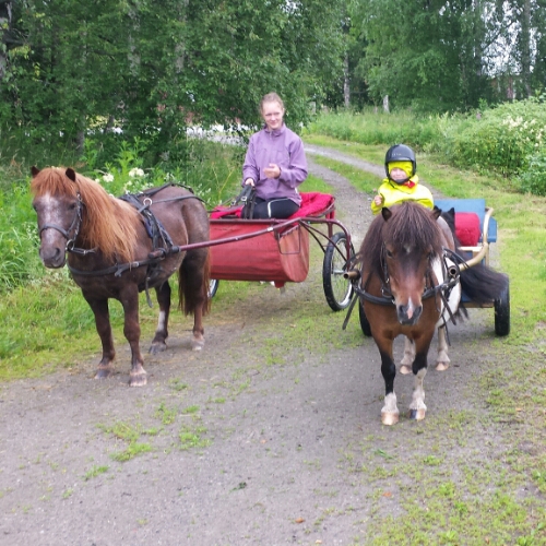 IMG_20150716_150210.jpg image