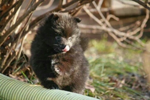 IMG_496474188921399.jpeg image