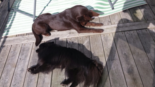 20150802_161010.jpg image