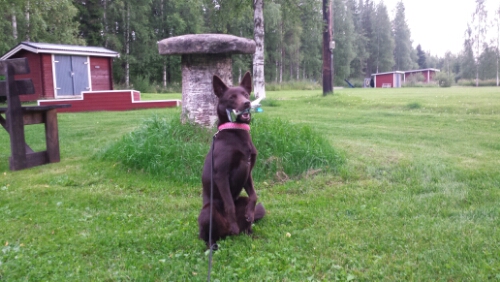 20150804_194736.jpg image