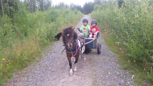 20150810_151332.jpg image