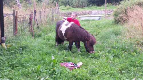 20150811_101805.jpg image