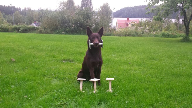 20150914_184822.jpg image