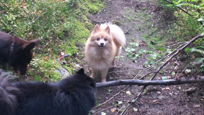 20150924_075146.jpg image