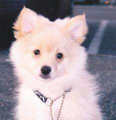 FB_IMG_1443360945864.jpg image