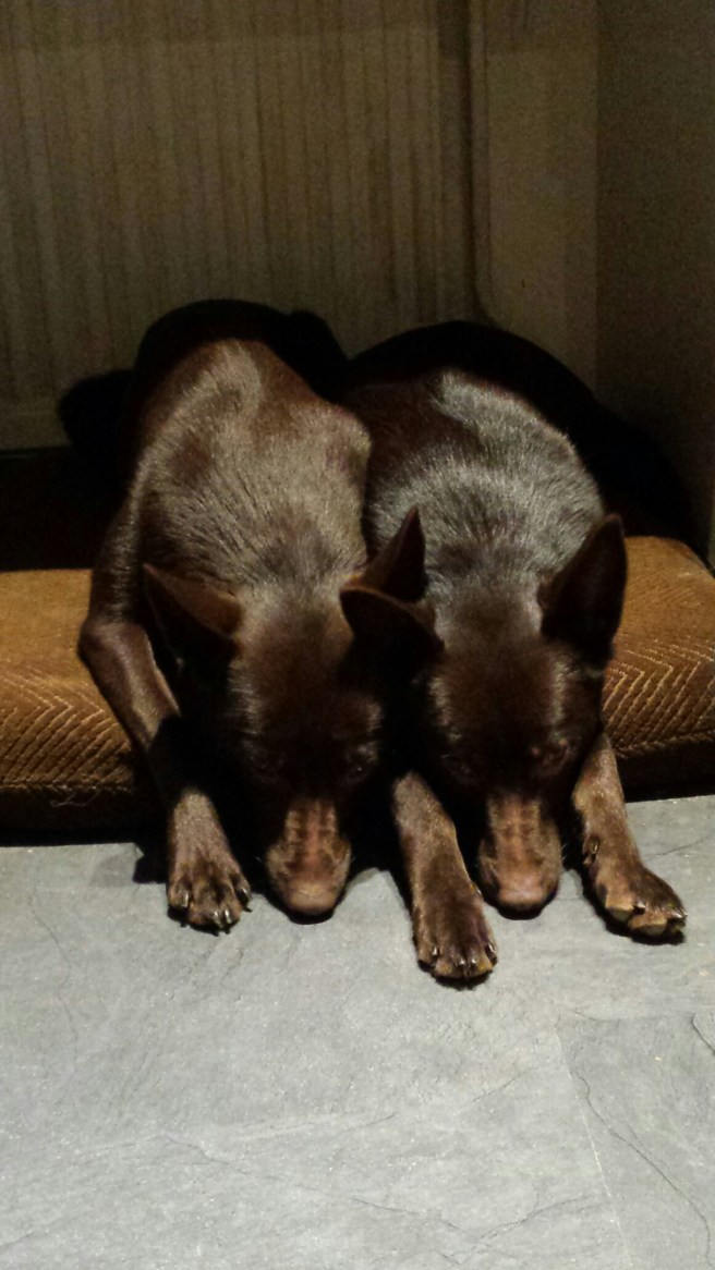 20160104_144728.jpg image