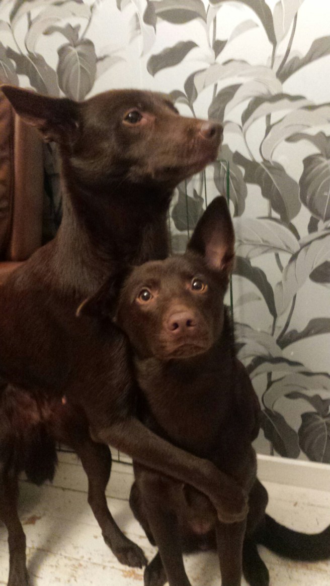 20160104_194436.jpg image