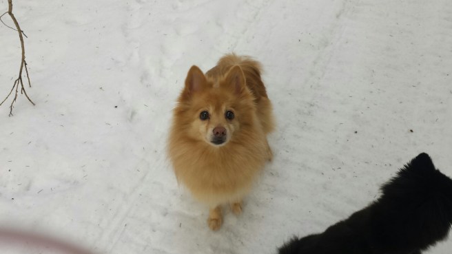 20160301_151823.jpg image