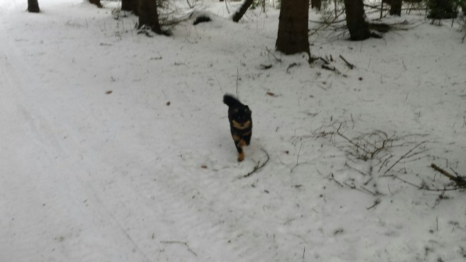 20160301_151840.jpg image