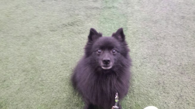 20160303_104040.jpg image