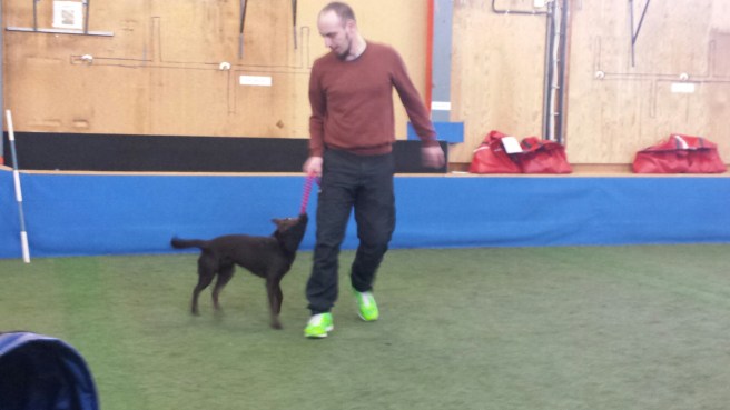 20160303_112127.jpg image